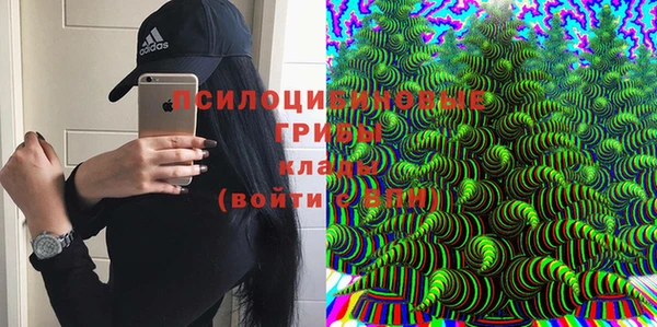 тгк Вязьма