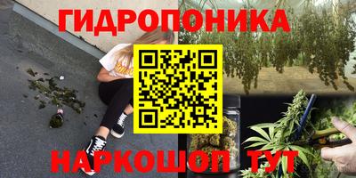 крисы Балаково