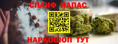 СК Балахна