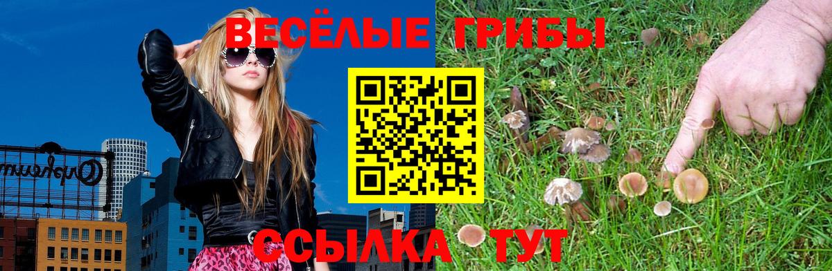 Верхняя Пышма  Галлюциногенные грибы MAGIC MUSHROOMS  Вход с VPN 
