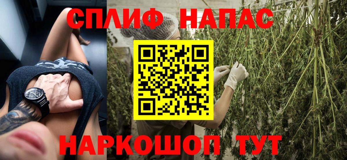 Конопля конопля  Каннабис конопля  Верхняя Пышма  Вход с VPN  Канабис Amnesia 